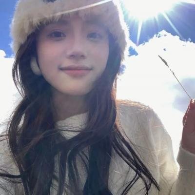 盗贼泰瑞莎